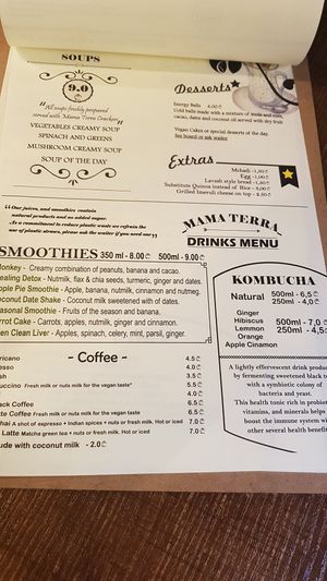 Menu at Mama Terra Veggie Corner in Tbilisi