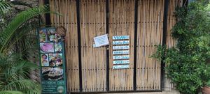 Closure notice at Blossom Cafe in Pai