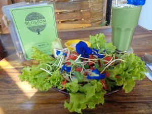 Green smoothie with green salad! at Blossom Cafe in Pai