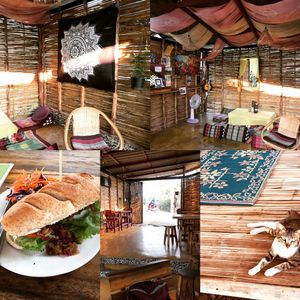 Cute Cafe. Pulled mushroom sandwich. Cat is from further down the road.  at Blossom Cafe in Pai