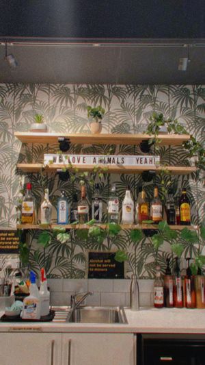   at Gorilla Kitchen in Auckland