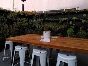 Terrace at Vegan Popup By XMarket in Venice