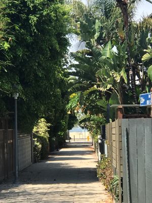 From the store you can see the beach 🏝😀 at Vegan Popup By XMarket in Venice