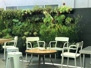 Cozy terrace at Vegan Popup By XMarket in Venice