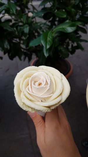 Vegan pistachio and hazelnut ice cream at Gelarto Bistro in Budapest