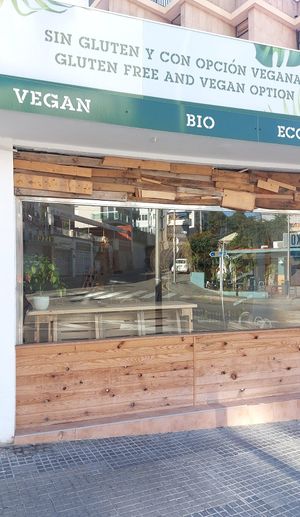  at Avocado Mallorca in Mallorca