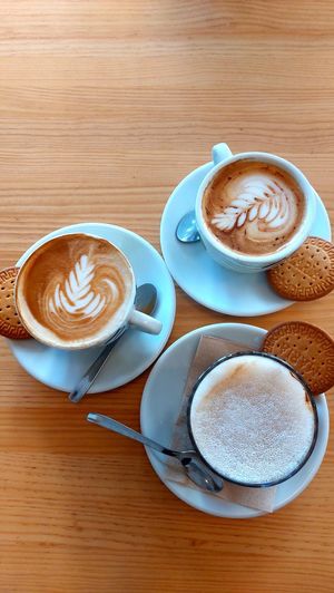  at Avocado Mallorca in Mallorca