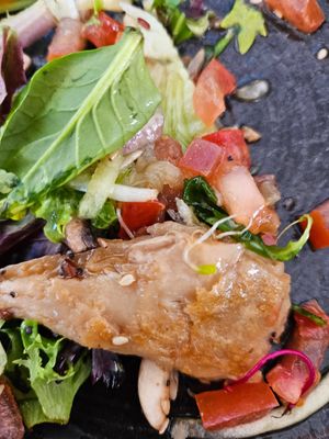  at Avocado Mallorca in Mallorca