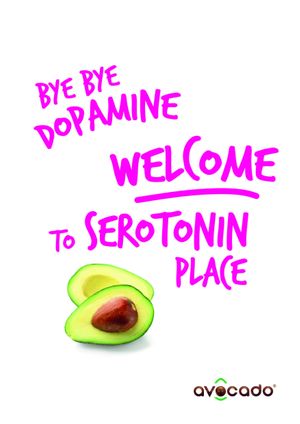  at Avocado Mallorca in Mallorca