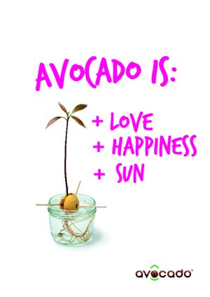  at Avocado Mallorca in Mallorca