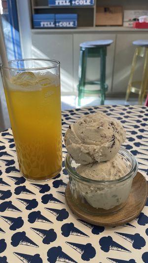   at Fell and Cole in Seoul