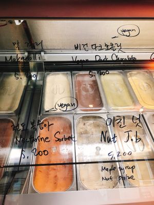 Vegan ice creams at Fell and Cole in Seoul