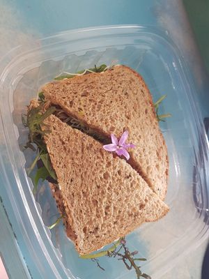 Vegan veggie sandwich- delicious!!! at The Sunrise Shack - Honolulu in Honolulu