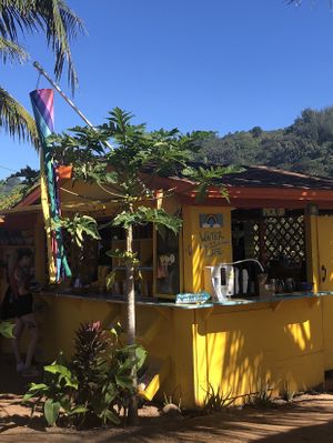 so cute!  at The Sunrise Shack - Hale'iwa in Haleiwa