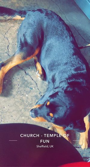 Chilled AF at Church - Temple of Fun in Sheffield