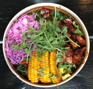 BBQ Chicken Salad Bowl - delicious  - 6.1.24 at Church - Temple of Fun in Sheffield