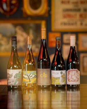 We've got some new wines on the lineup at Church - Temple of Fun in Sheffield