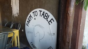 Wifi available at Farm To Table in Tulum
