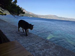Incredible view at Silk in Korcula