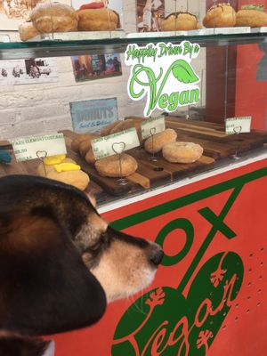 Even my dog can’t decide which one!  at Happy Donuts in West London