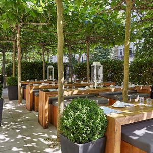 Garden dining area  at Cafe Forty One in West London