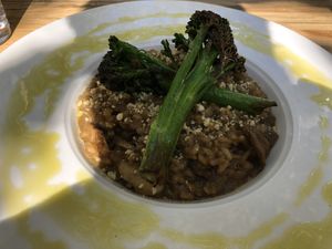 Risotto at Cafe Forty One in West London