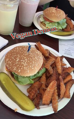 The beef burger and the chicken burger were both delicious, as well as the smoothies!  at TNK Vegan Cafe in Modesto