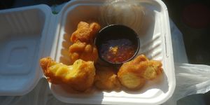Fried wontons: they had beef crumbles in them, not a fan at TNK Vegan Cafe in Modesto