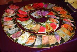 Sandra invites the audience to select a rose card. at Holistic Living Group in Lyndhurst