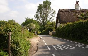 Beautiful setting for the Holistic Living Group's Social Gathering; in the heart of the New Forest. at Holistic Living Group in Lyndhurst