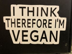 On the cash register at Cool Al's in Jackson