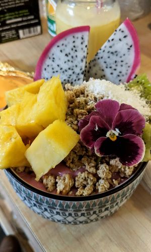 Pink Dragon Bowl at Green Lane Naturals in Green Lane