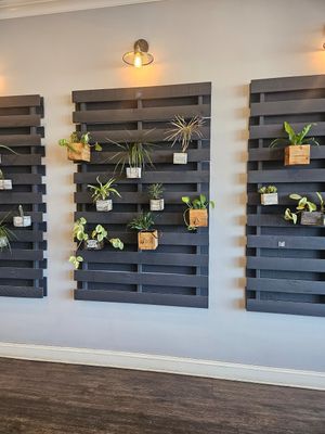  at Greens and Grains in Shrewsbury