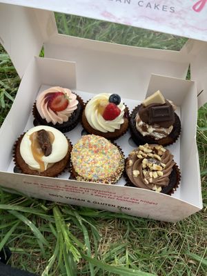   at Sugar Baby in Dee Why