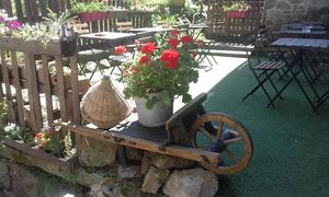 Little garden at Harmonika in Dinan