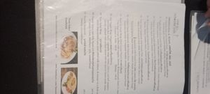 Menu at The Outside Inn in Ubon Ratchathani