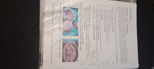 Menu at The Outside Inn in Ubon Ratchathani