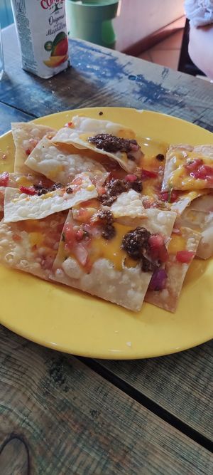  at O Burrito in Coimbra