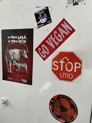 Deffo  at O Burrito in Coimbra