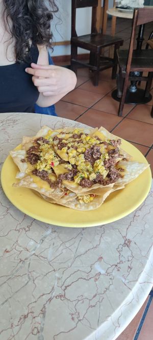 N at O Burrito in Coimbra