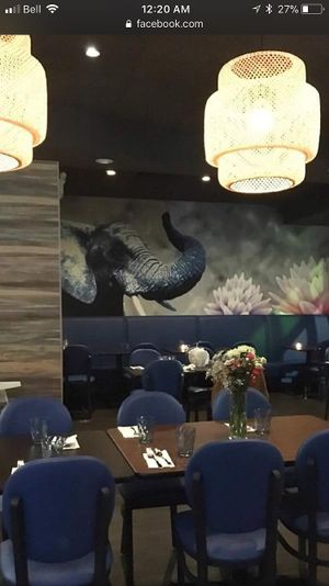 Dining area at The Blue Elephant in Bedford