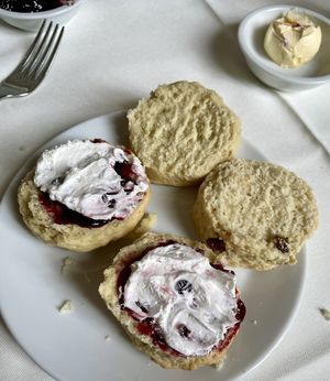   at The Vegan Cakery in Leicester