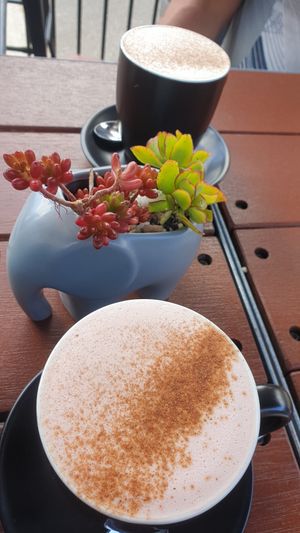 Chai & red velvet latte at Feast in Geelong