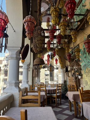   at Tree Trunk in Cairo