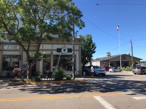 Tree of Life at Tree of Life Juice in Saugatuck