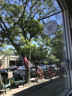 Tree of Life at Tree of Life Juice in Saugatuck