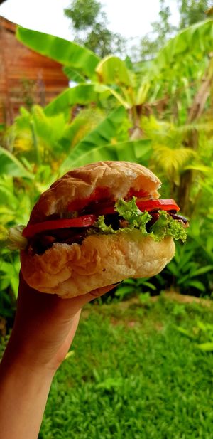 Vegi burger  At the begining we offered chees, but not at the moment  at cHelloVegi in Kampot