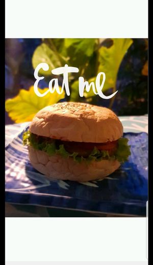 Burger burger burger  at cHelloVegi in Kampot