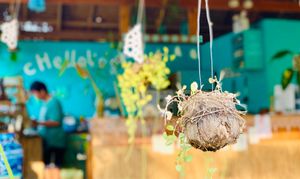 Super cute and zerowaste  at cHelloVegi in Kampot