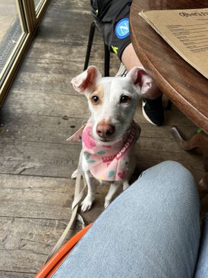   at Oliver's Pantry in Ripon